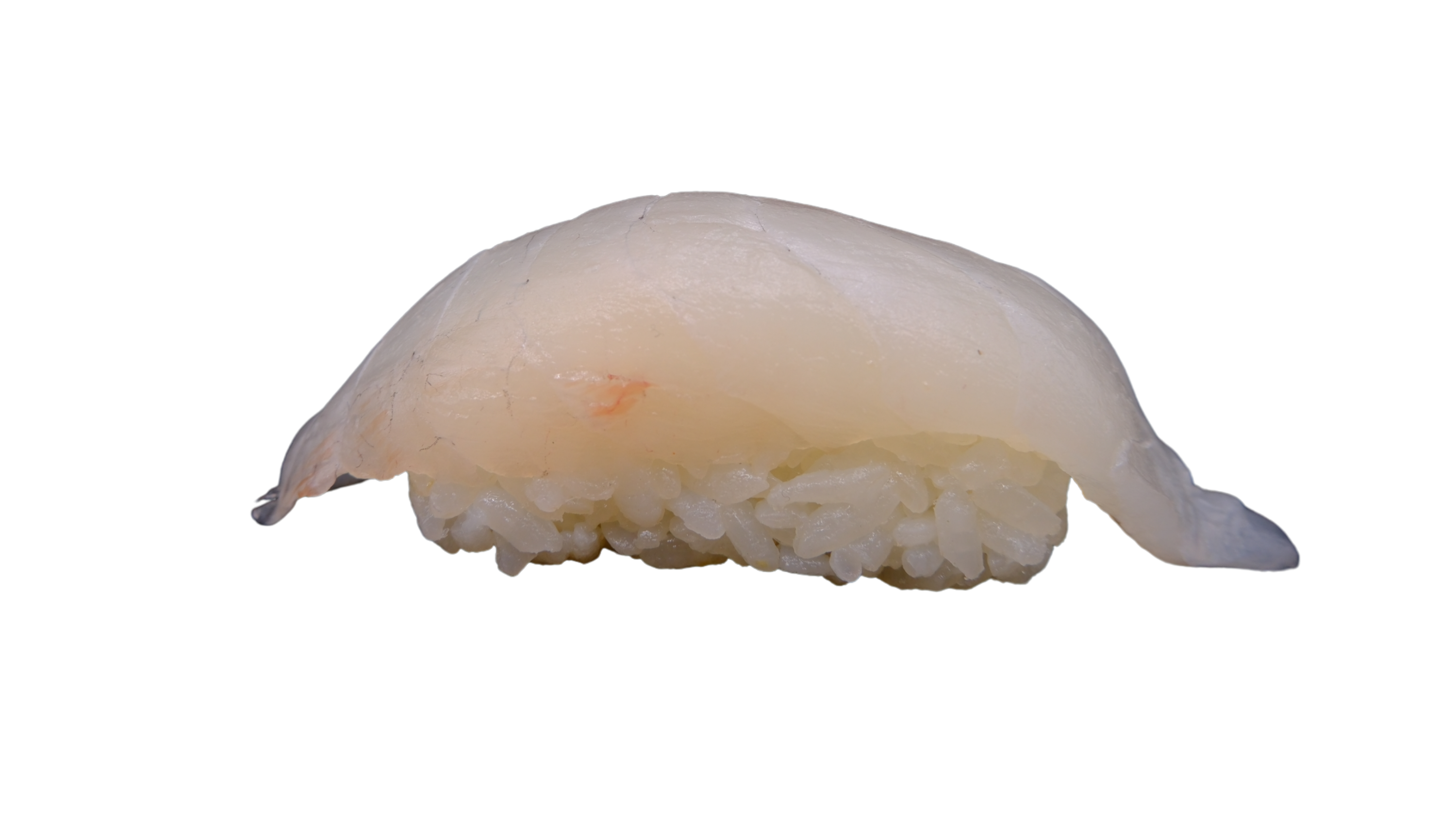 46 Nigiri Dorade